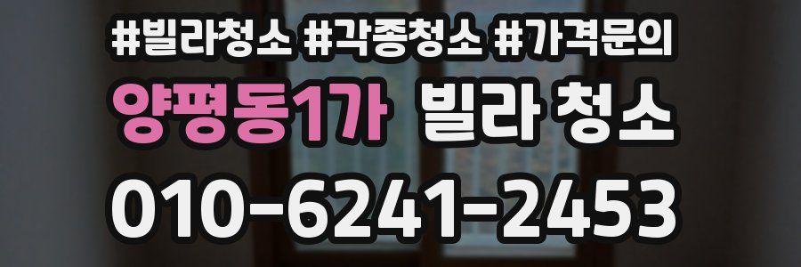 양평동1가 빌라 청소