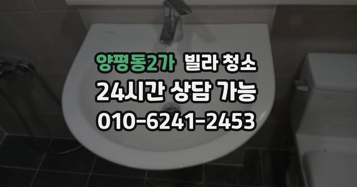 양평동2가 빌라 청소