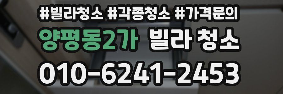 양평동2가 빌라 청소
