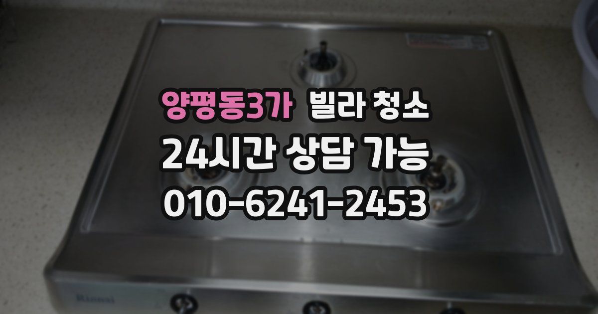 양평동3가 빌라 청소