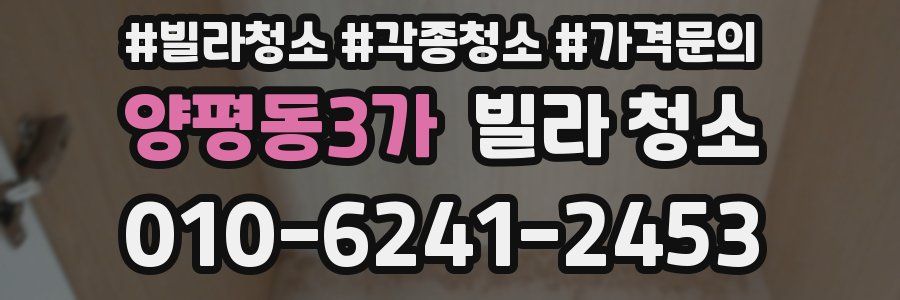 양평동3가 빌라 청소