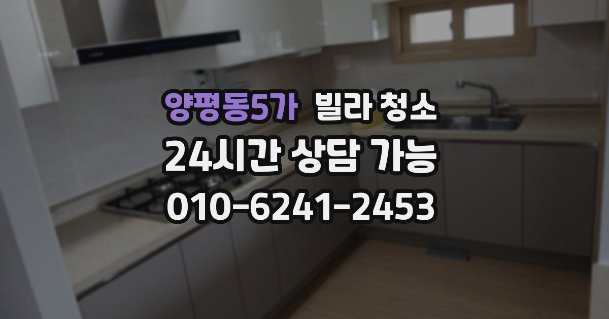 양평동5가 빌라 청소