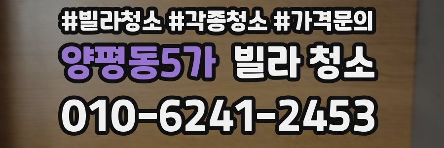 양평동5가 빌라 청소