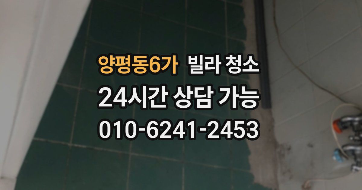 양평동6가 빌라 청소