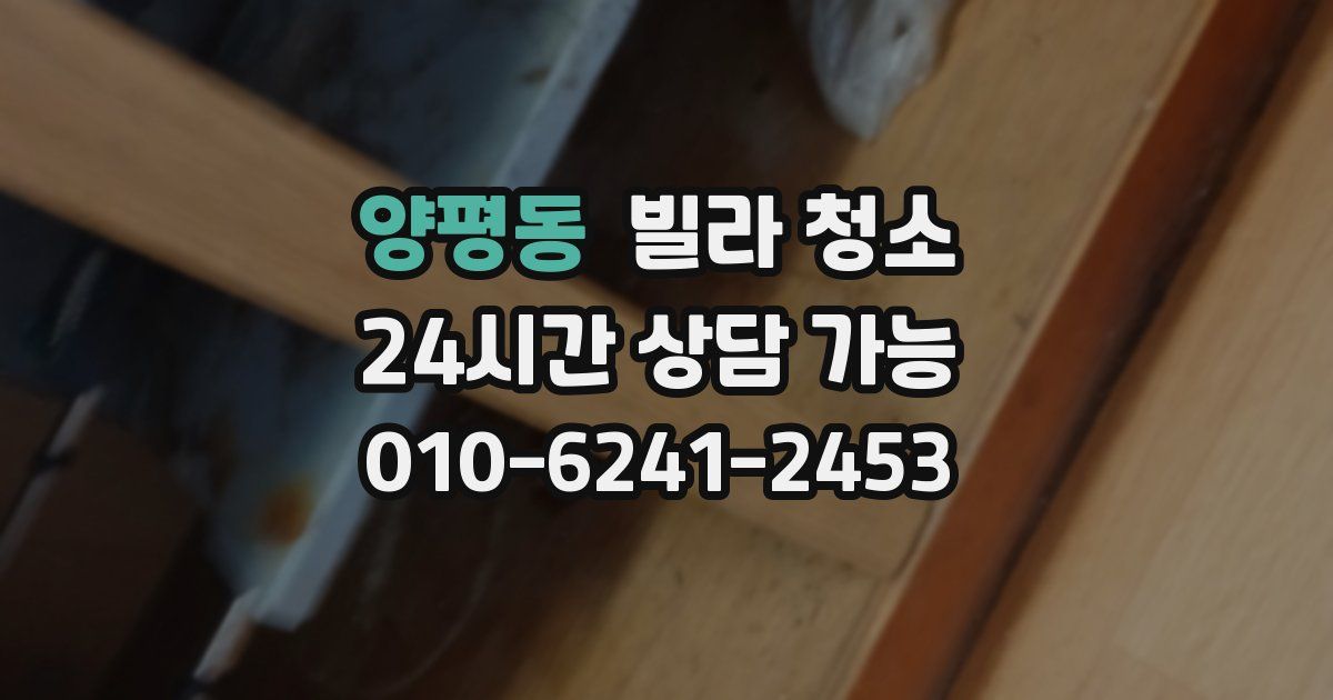 양평동 빌라 청소