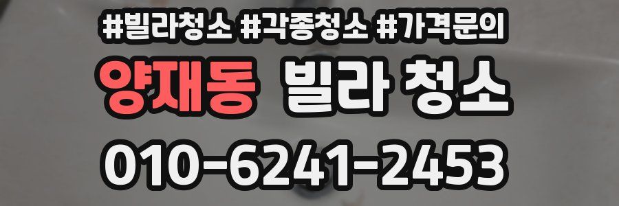 양재동 빌라 청소