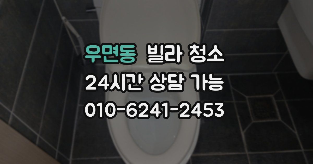 우면동 빌라 청소