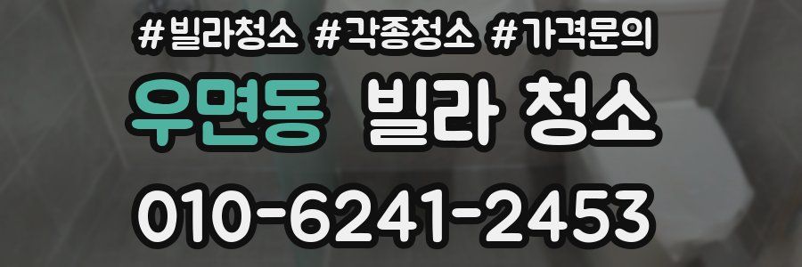 우면동 빌라 청소