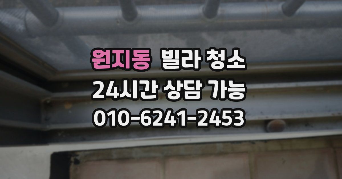 원지동 빌라 청소