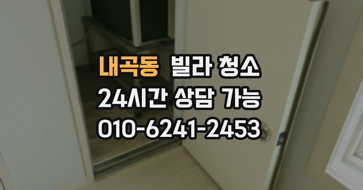 내곡동 빌라 청소