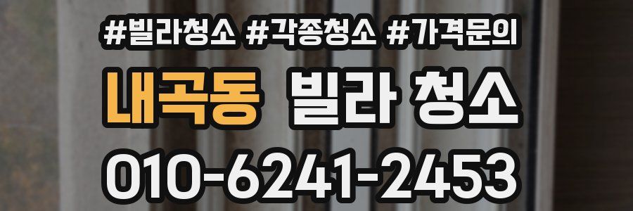 내곡동 빌라 청소