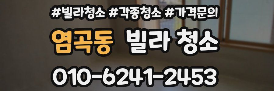 염곡동 빌라 청소