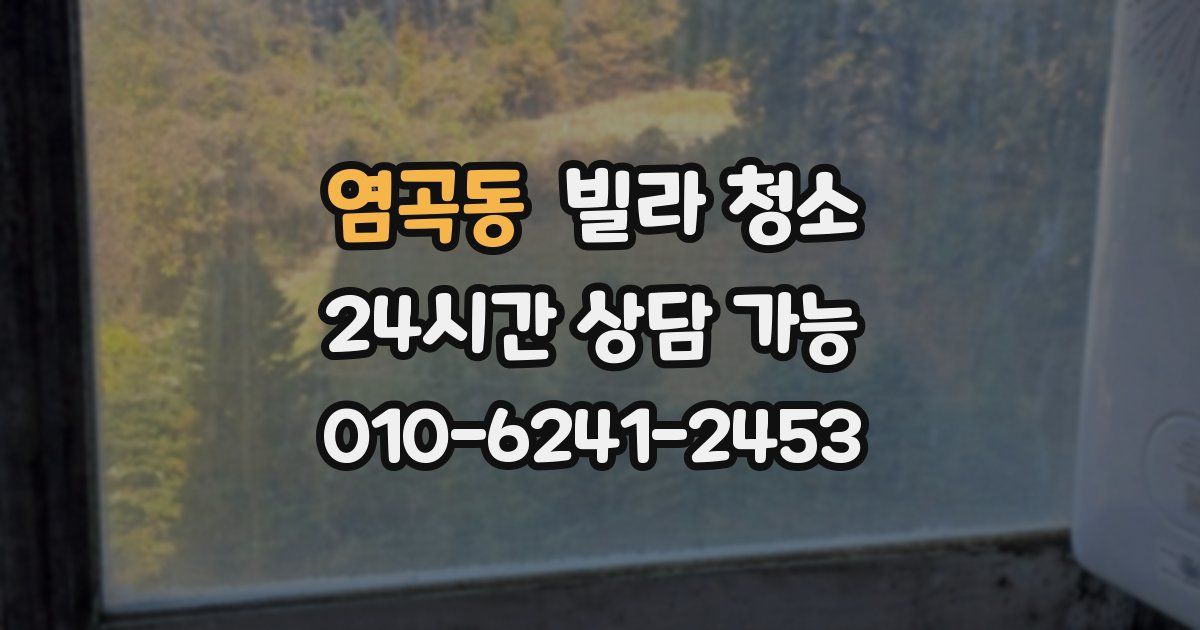 염곡동 빌라 청소