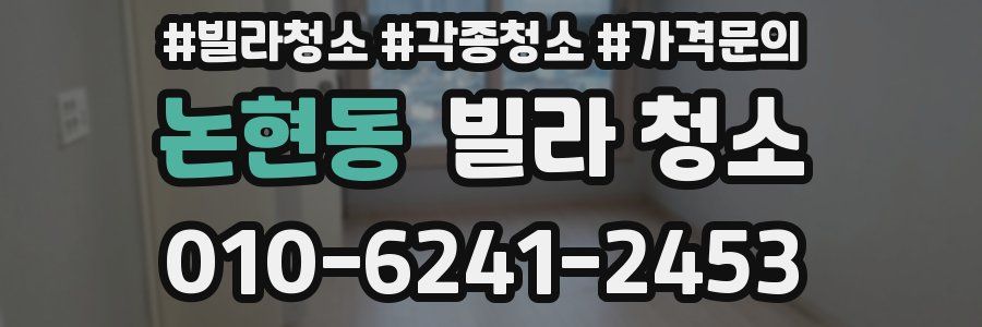 논현동 빌라 청소