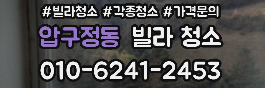 압구정동 빌라 청소