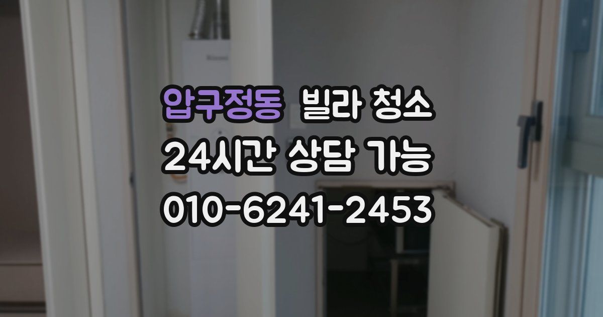 압구정동 빌라 청소