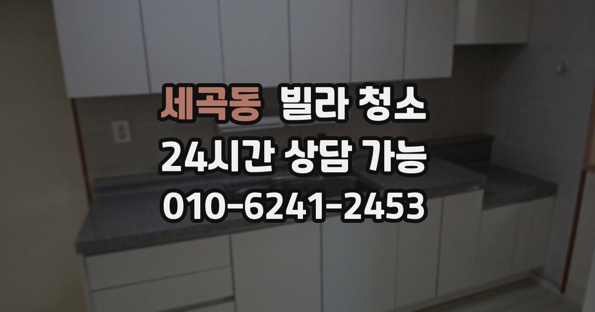 세곡동 빌라 청소