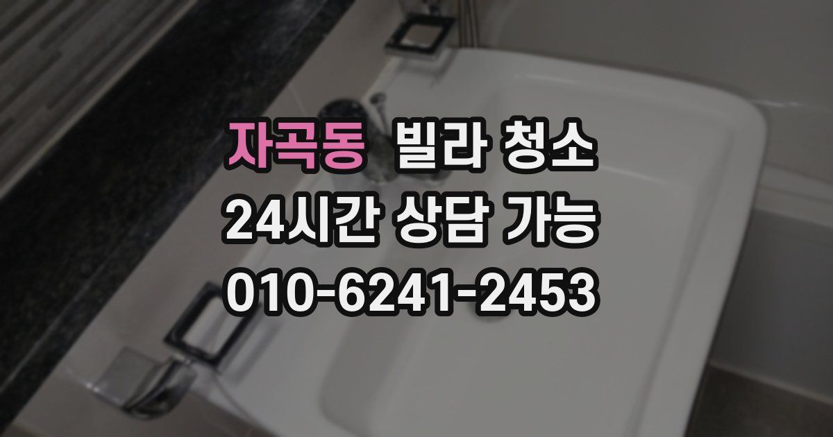 자곡동 빌라 청소