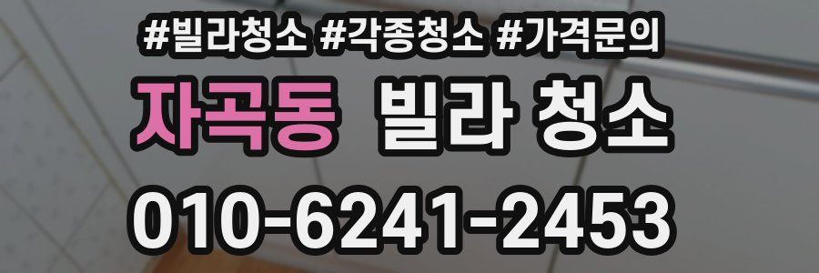 자곡동 빌라 청소