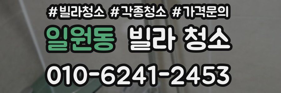 일원동 빌라 청소