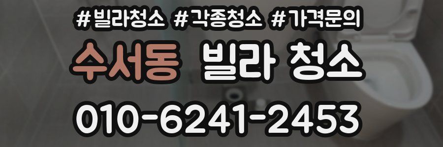 수서동 빌라 청소