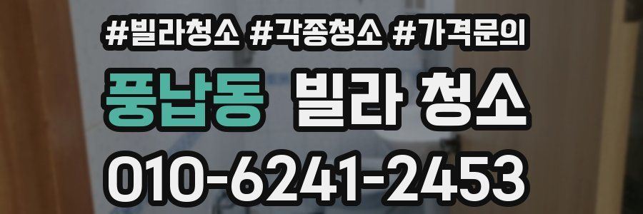 풍납동 빌라 청소