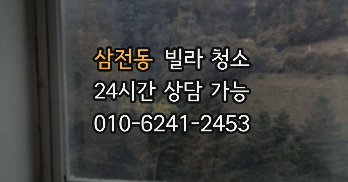 삼전동 빌라 청소