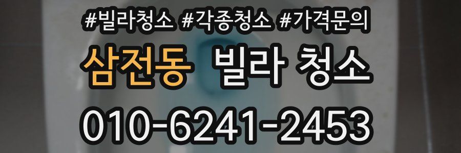 삼전동 빌라 청소