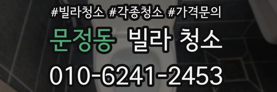 문정동 빌라 청소