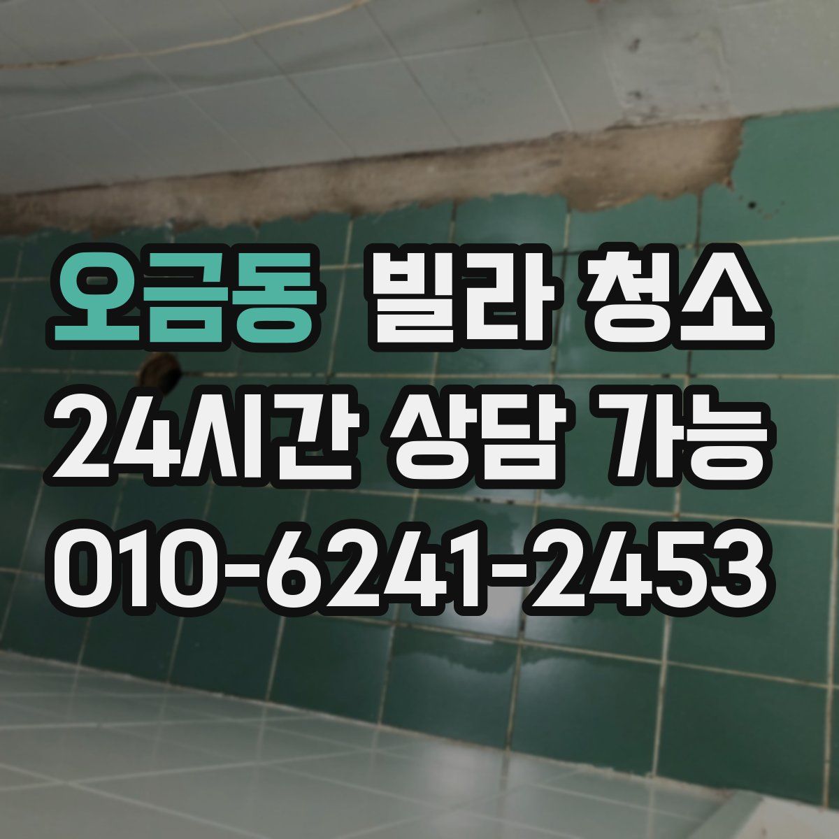 오금동 빌라 청소