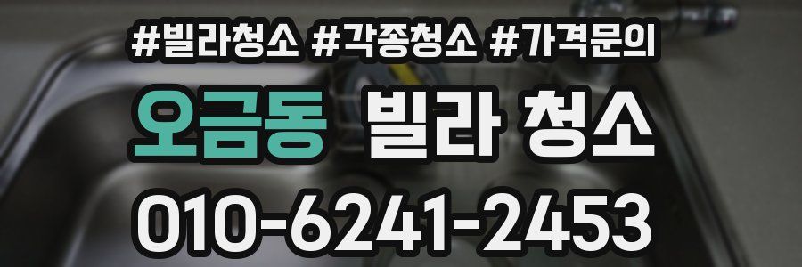 오금동 빌라 청소