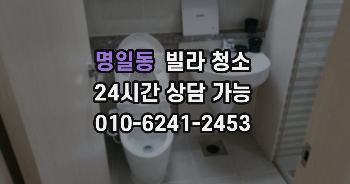 명일동 빌라 청소