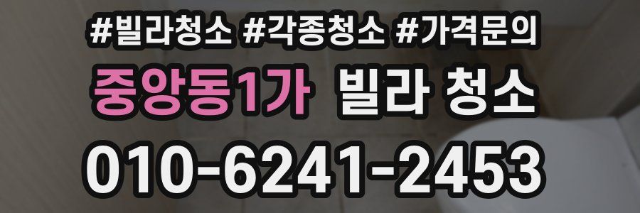 중앙동1가 빌라 청소