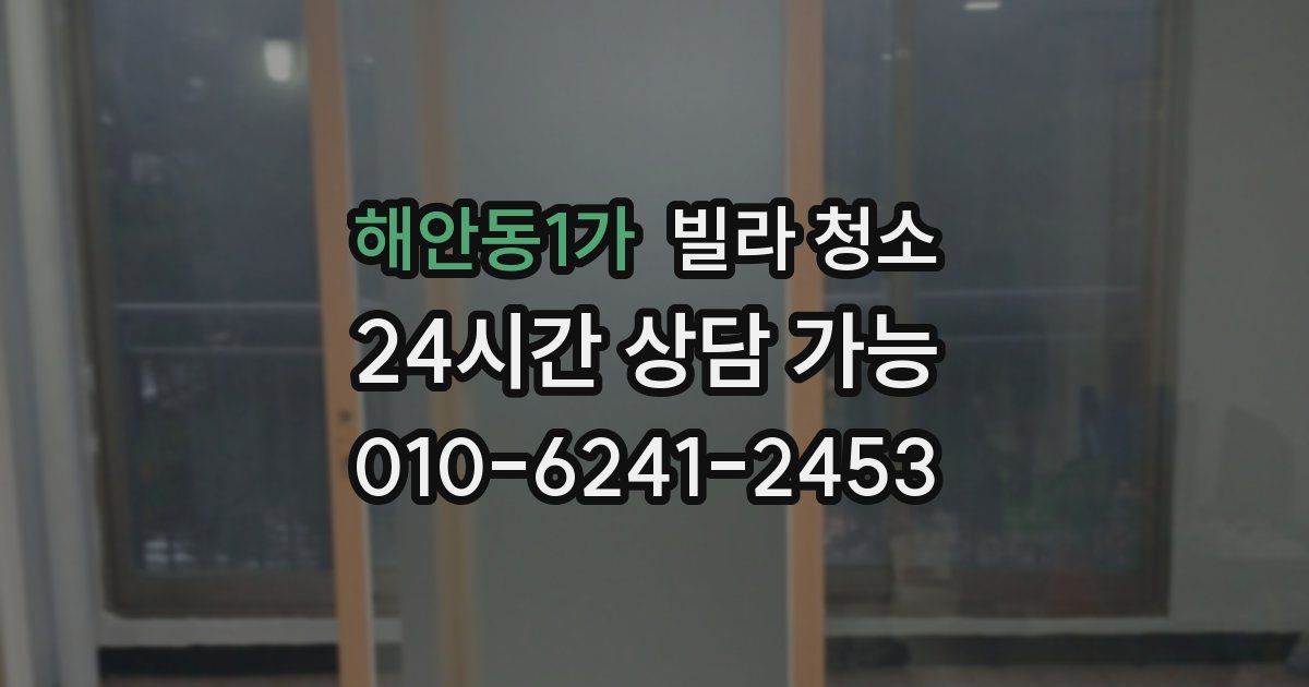 해안동1가 빌라 청소