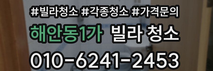 해안동1가 빌라 청소