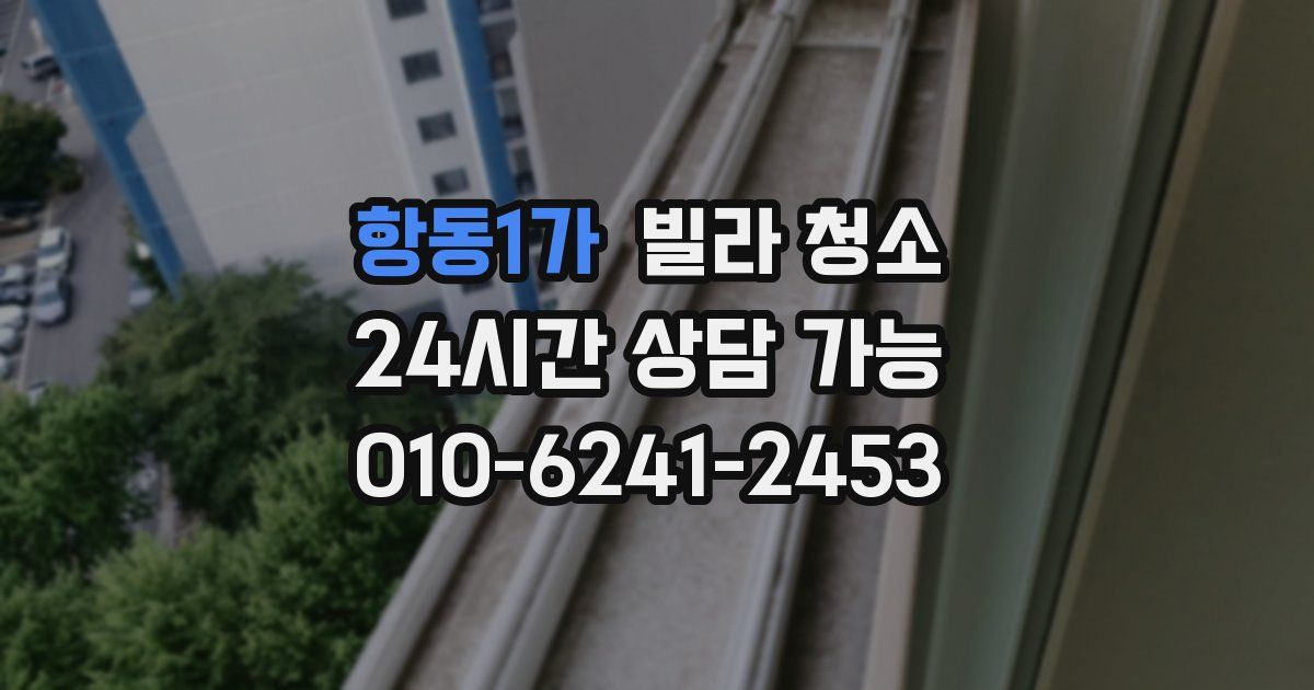 항동1가 빌라 청소
