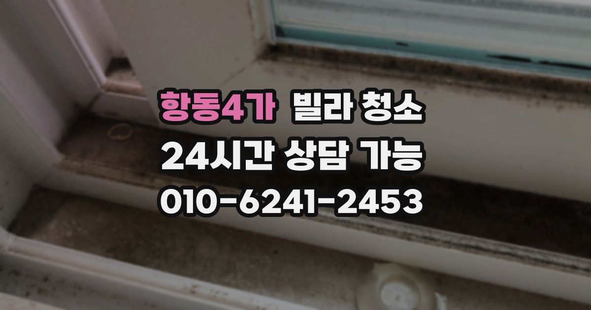 항동4가 빌라 청소