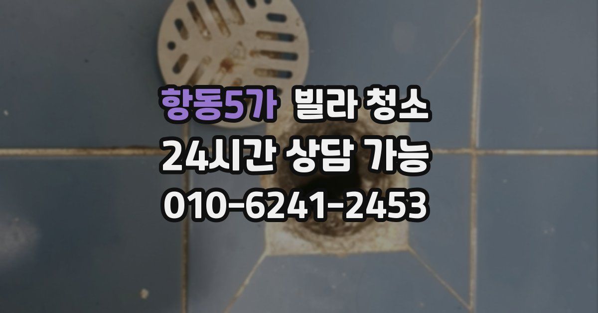 항동5가 빌라 청소