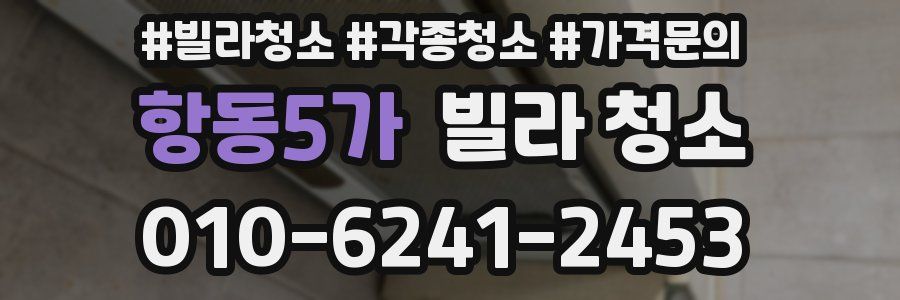 항동5가 빌라 청소