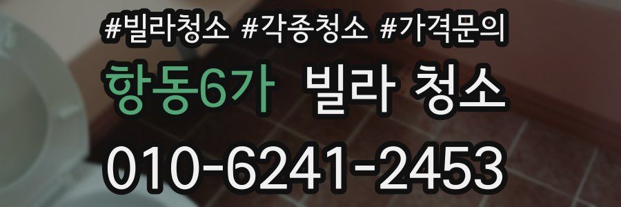 항동6가 빌라 청소