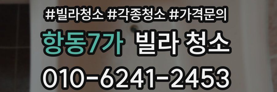 항동7가 빌라 청소