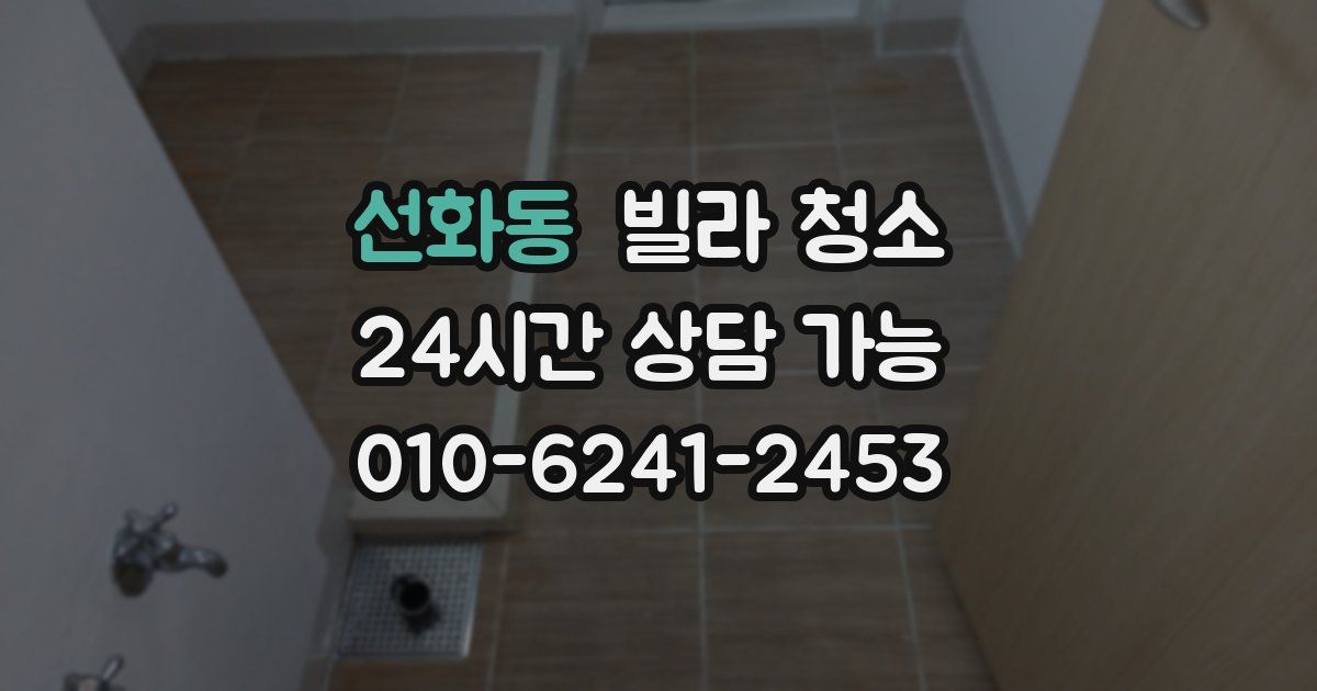 선화동 빌라 청소