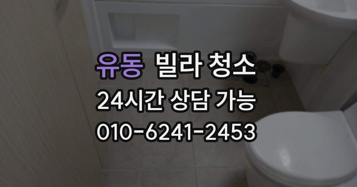 유동 빌라 청소