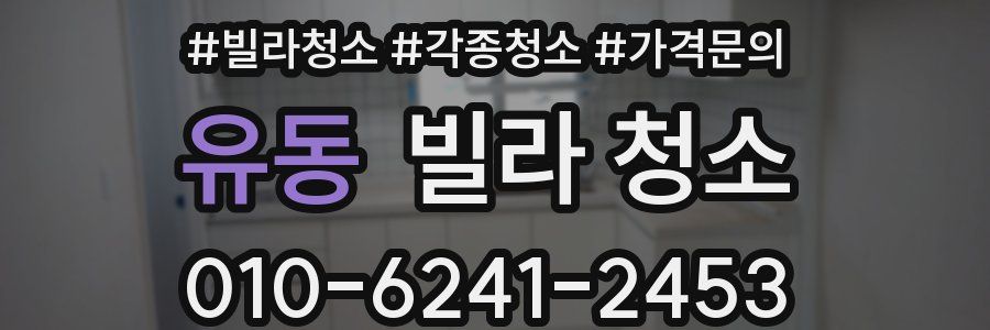 유동 빌라 청소