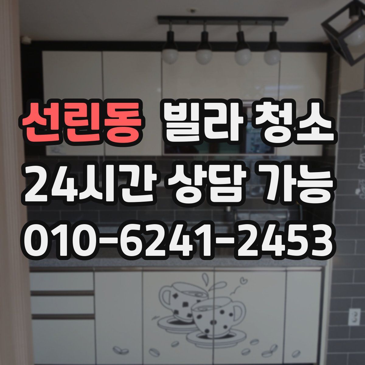 선린동 빌라 청소