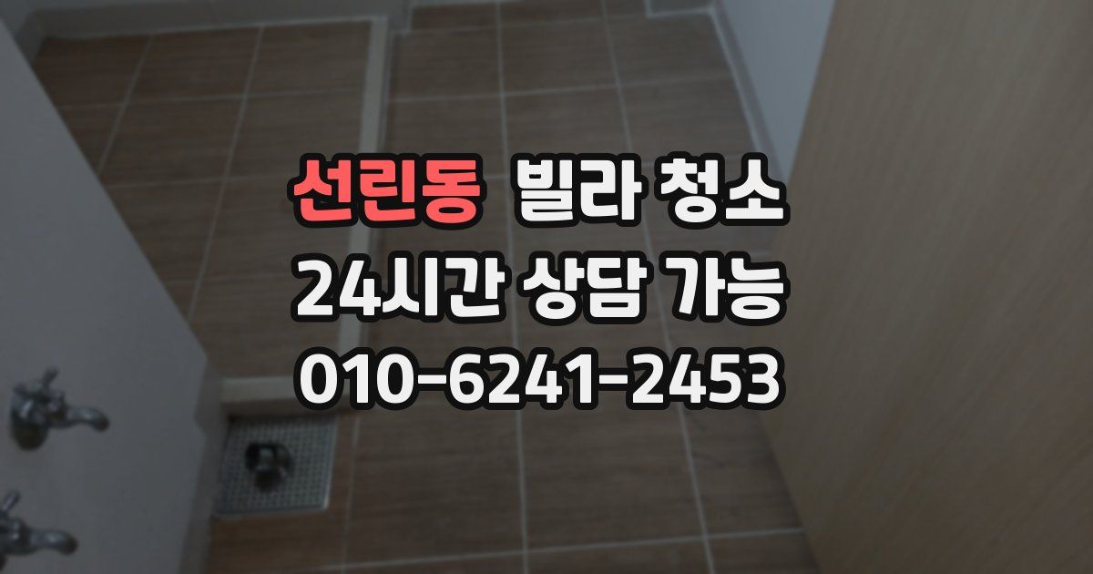 선린동 빌라 청소