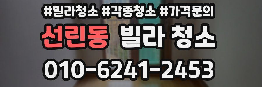 선린동 빌라 청소