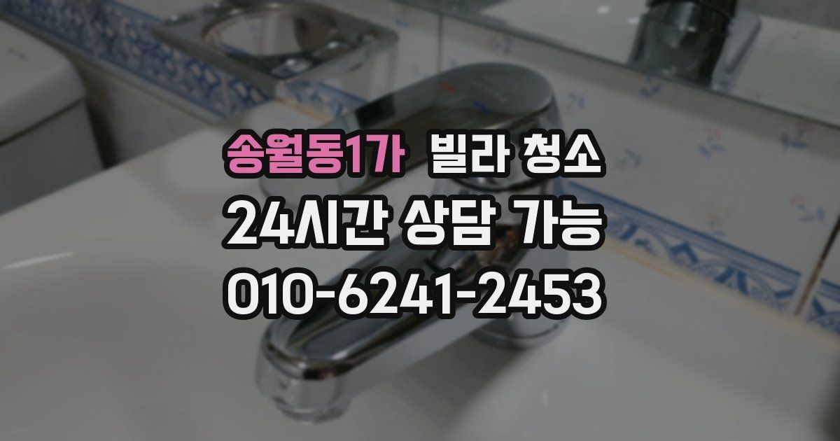 송월동1가 빌라 청소