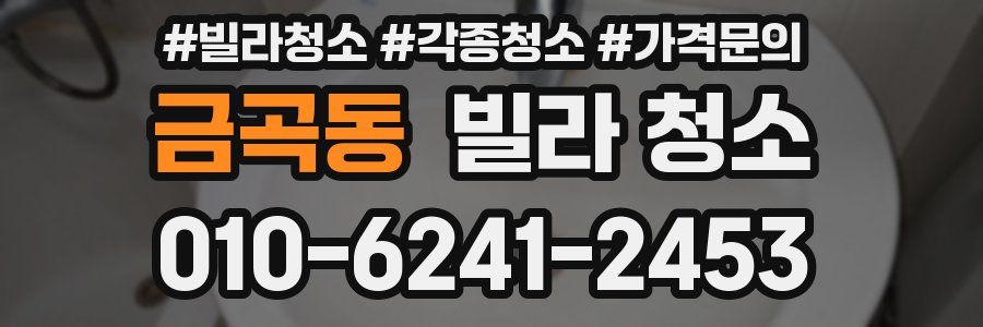 금곡동 빌라 청소