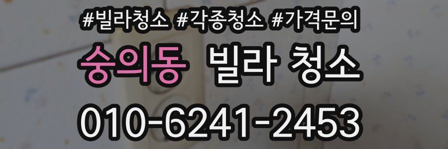 숭의동 빌라 청소